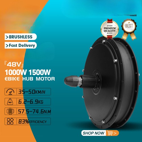 Bicicletta elettrica 48v 1000w - bicicletta,