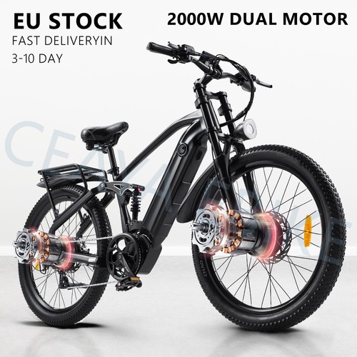 Bicicletta elettrica doppio