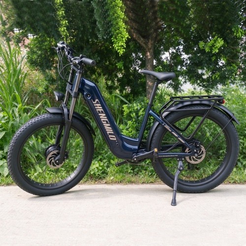 Bicicletta elettrica doppio